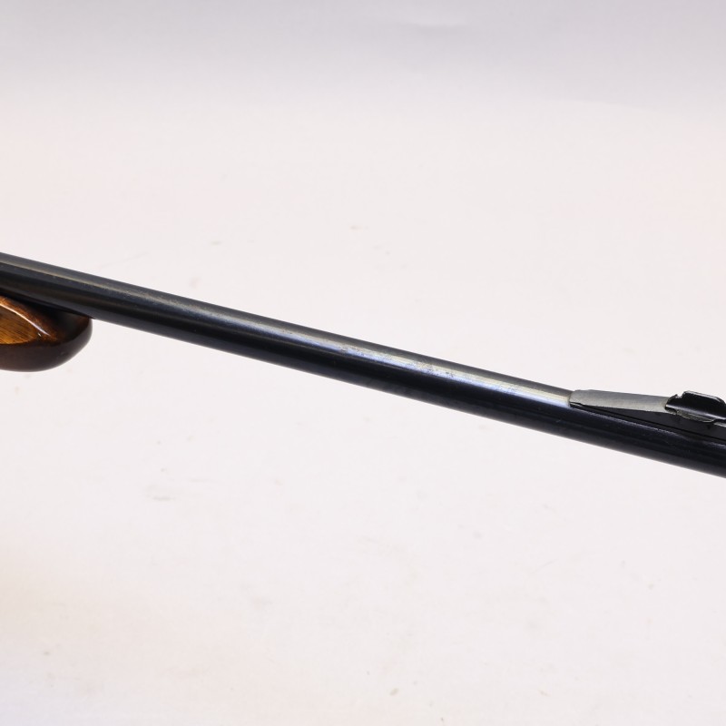 Shop Centennial Take Down Rimfire Semi-Auto Rifle