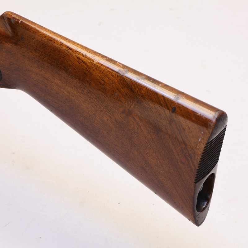Shop Centennial Take Down Rimfire Semi-Auto Rifle