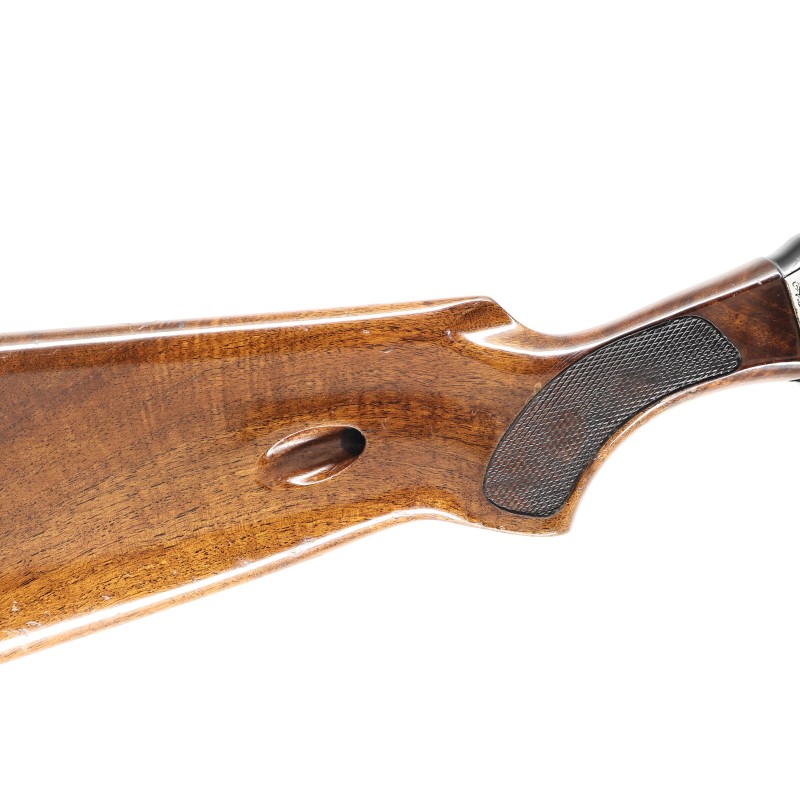 Shop Centennial Take Down Rimfire Semi-Auto Rifle