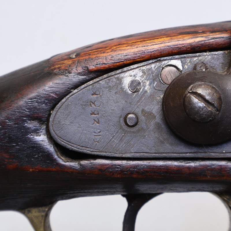 Own British Antique Percussion Musket 7/10 Caliber