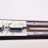 Buy William Evans 12-Ga Hammer Gun | Excellent Condition