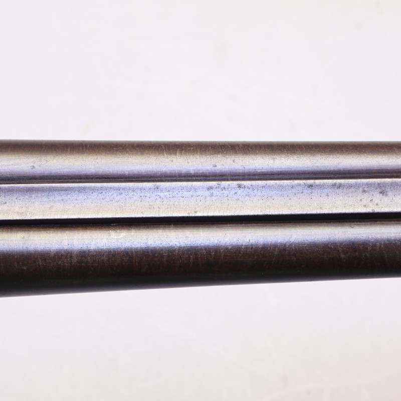 Buy William Evans 12-Ga Hammer Gun | Excellent Condition