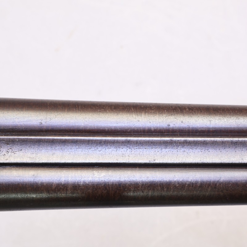 Buy William Evans 12-Ga Hammer Gun | Excellent Condition