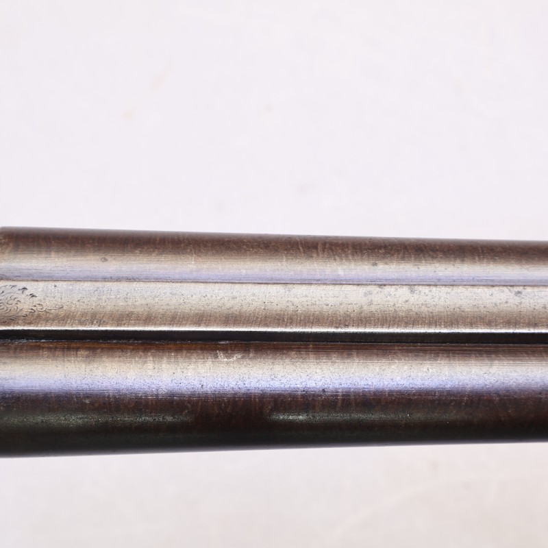 Buy William Evans 12-Ga Hammer Gun | Excellent Condition